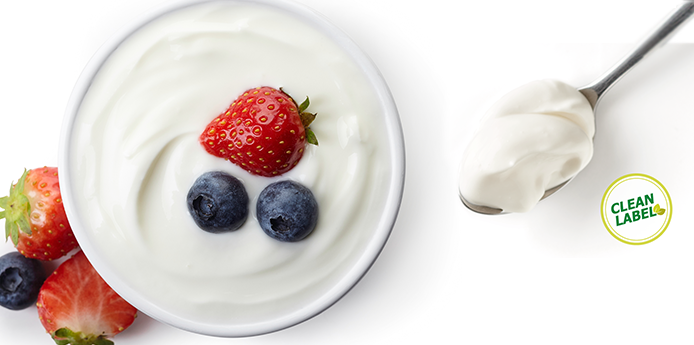 iogurte 4.0 prozyn